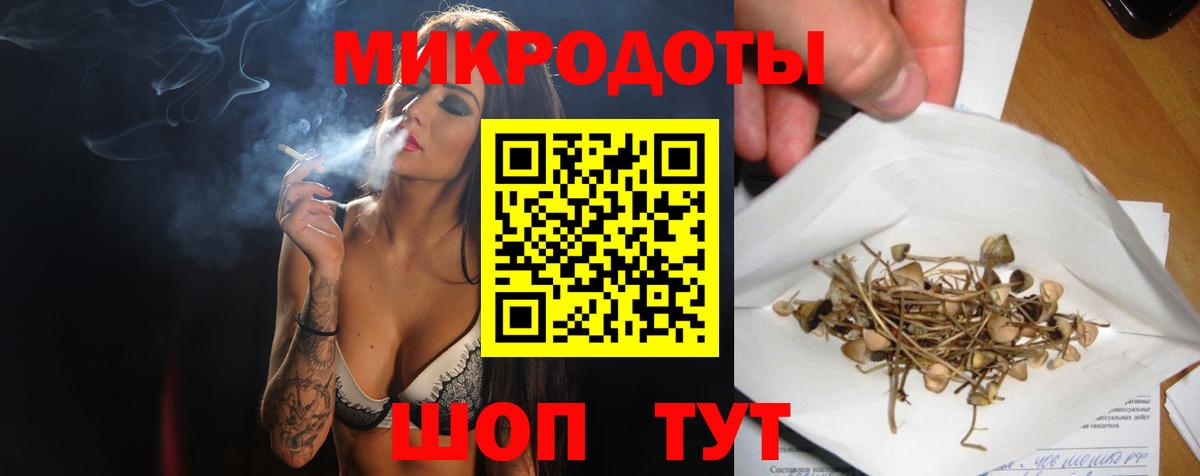 Псилоцибиновые грибы GOLDEN TEACHER  купить наркоту  Галлюциногенные грибы Cubensis  Котлас  Вход с VPN 